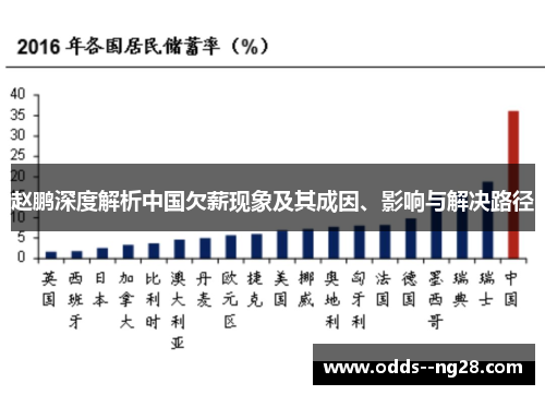 赵鹏深度解析中国欠薪现象及其成因、影响与解决路径